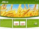 农业公司网站建设